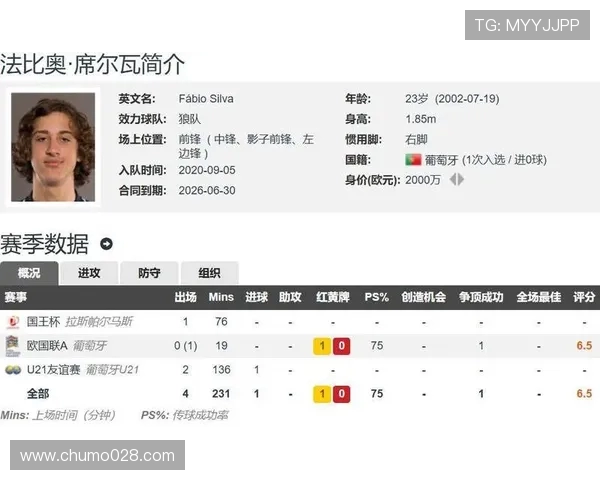 英超各球队门票价格对比与购票指南 英超各球队门票价格对比与购票指南