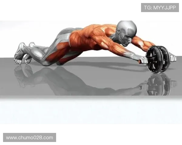 腹肌训练大型健身器材选购与使用指南