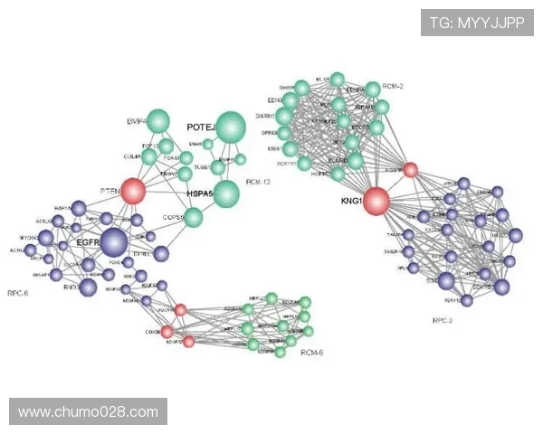 足球赛事中的技术分析与数据挖掘